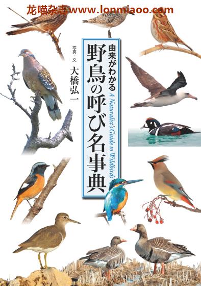 [日本版]Sekaibunka 野鳥の呼び名事典 自然PDF电子书下载